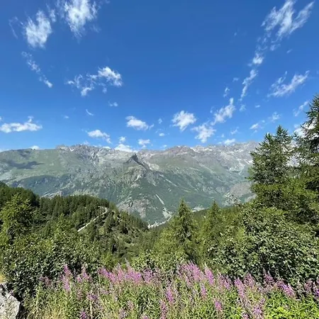 Maison D'eliby * Breuil-Cervinia